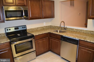 13923 Big Yankee Ln, Centreville, VA 20121 - photo 4