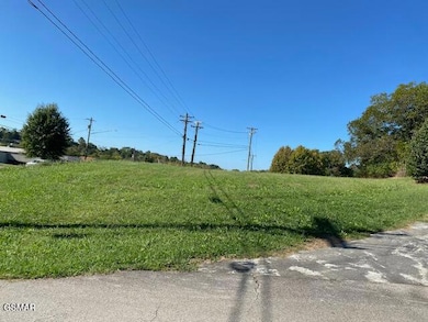 Lot 5 Riley Rd, Dandridge, TN 37725 - photo 4