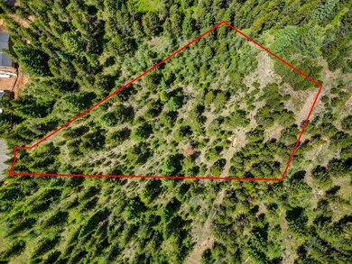 0 Thunderbolt Place unit 67 541959, McCall, ID 83638 - photo 5