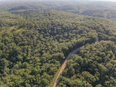 Tbd State Highway Y, Willow Springs, MO 65793 - photo 3