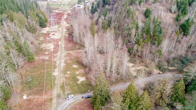 39950 295th Place SE, Enumclaw, WA 98022 - photo 3