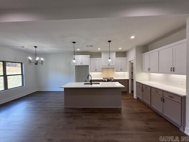 41 Ridge View St, Vilonia, AR 72173 - photo 7