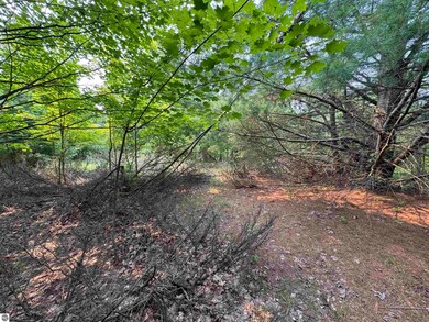 Lot #1 E Bellinger Rd unit 1, Cedar, MI 49621 - photo 7