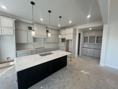 648 Cross Timbers Trace, Waller, TX 77484 - photo 6