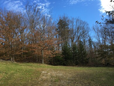 124 Tilda Hill Rd, Florida, MA 01247 - photo 3