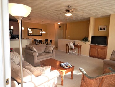 Main Living Area