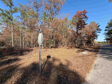 428 Pine Crest St, Camden, SC 29020 - photo 3