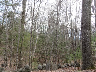 00 Ossipee Mountain Rd, Moultonborough, NH 03254 - photo 5