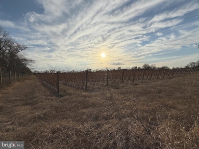 812 Garden Rd, Pittsgrove, NJ 08318 - photo 4