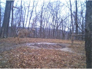 0 County Road J unit 6642969, Nelson, WI 54756 - photo 5