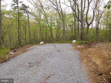 31 Pine Point Dr, Maysville, WV 26833 - photo 4