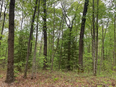 B1B5F2C9-2C7B-418C-BD9B-911BAD558396