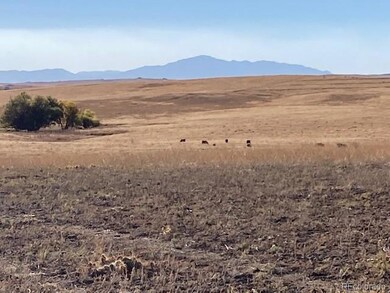 TBD Highway 24, Calhan, CO 80808 - photo 3