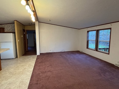 967 Ten Mile Rd, New Martinsville, WV 26155 - photo 5