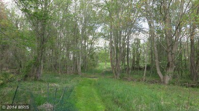 20 Oden Ln, Washington, VA 22747 - photo 3