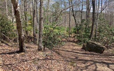Additional View