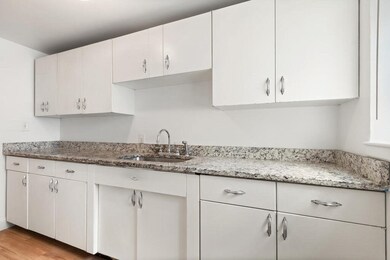 4 Menotomy Rd unit 1, Arlington, MA 02476 - photo 4