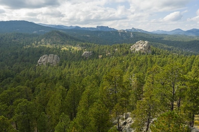 TBD Trackers Trail, Keystone, SD 57751 - photo 3