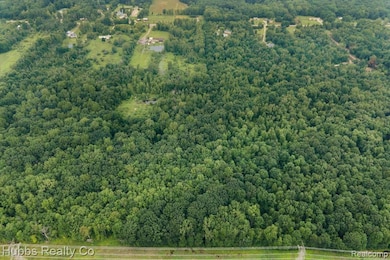 0000 Birch Run Rd, Arbela Township, MI - photo 7