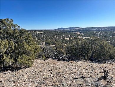 lot 62 Cl&g Unit Bb unit 62, Gardner, CO 81040 - photo 5