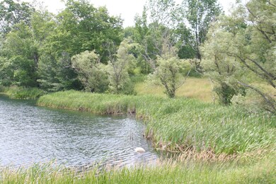 0 Daniels Rd, Honesdale, PA 18431 - photo 2