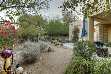 005_Backyard