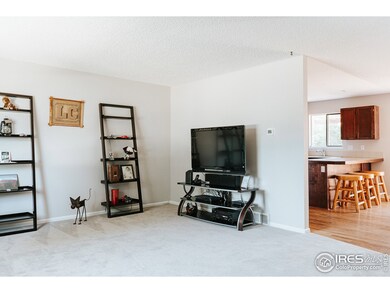 All new carpet throughout