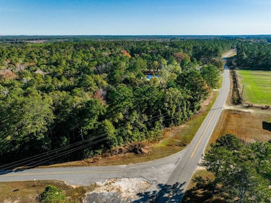 15.6+/- Acres Rose Hill Dozier MacEdonia Rd, Andalusia, AL 36421 - photo 7