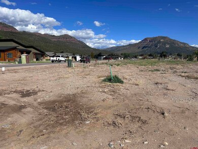 74 W Dalton Rd, Durango, CO 81301 - photo 4