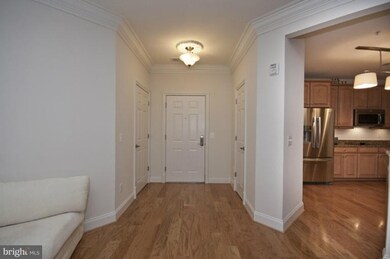 The Bluffs At Quarry Lake unit 202, Baltimore, MD 21209 - photo 3