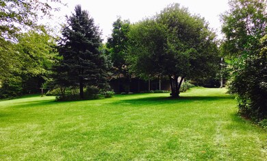 Park-like Yard