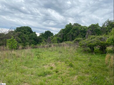 00 Wingo Rd, Wellford, SC 29385 - photo 6