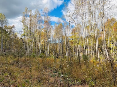 TBD Red Roof Ln, Laurel Fork, VA 24352 - photo 3