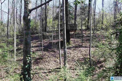 Woods are to the left of the house and include a c