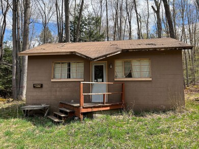 0 Bordell Rd unit LotWP006 17041600, Smethport, PA 16749 - photo 3