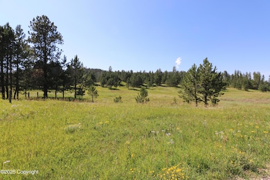 TBD Reynolds Rd, Sundance, WY 82729 - photo 2