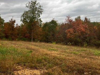 1300 Qmc Rd, Mountain View, AR 72560 - photo 3