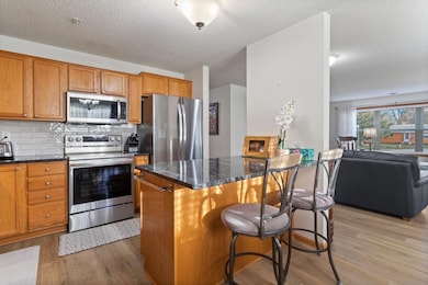 2231 N Penn Place unit 201, North Saint Paul, MN 55109 - photo 7