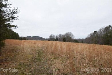 00 Robinson Yelton Rd, Clover, SC 29710 - photo 6