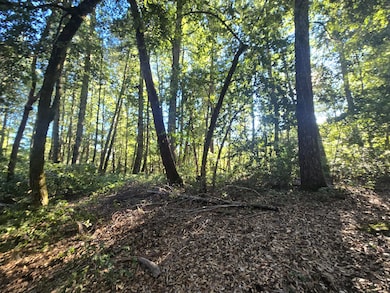 1439 Trinity Trail, Zenia, CA 95595 - photo 6