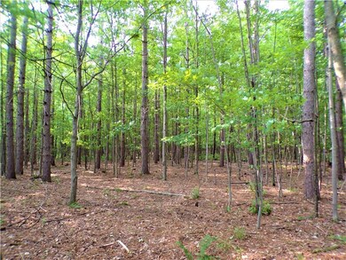 11.3 Acres on Walrath Rd, Lawrence, WI 54526 - photo 3