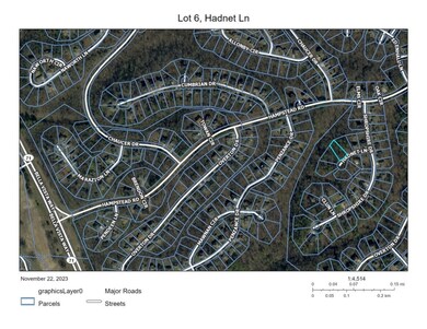 0 Hadnet Ln, Bella Vista, AR 72714 - photo 7