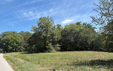 110 Harvey Ave, Walnut Grove, KY 42501 - photo 3