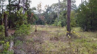 0 NW 30th St unit 796107, Chiefland, FL 32626 - photo 3