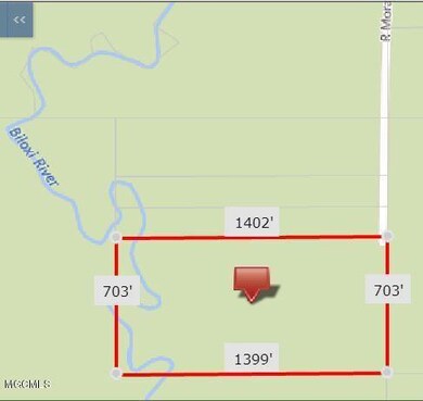 0 R Moran Rd unit 3345430, McHenry, MS 39561 - photo 3