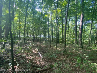 0 Beaver Pond Rd unit GSB213397, Clarks Summit, PA 18411 - photo 3