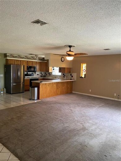 35637 Wiley Rd, Zephyrhills, FL 33541 - photo 4