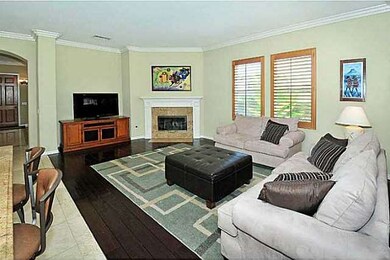 Second Fireplace in family room across from kitche