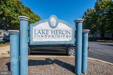 1130 Lake Heron Dr unit 3A, Annapolis, MD 21403 - photo 7