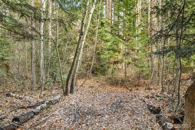 0 XXX 0, Leavenworth, WA 98826 - photo 2